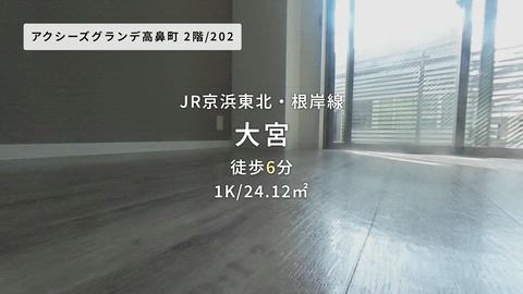 動画