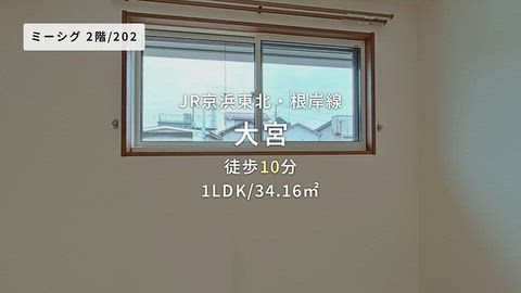 動画