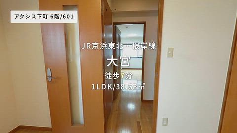 動画