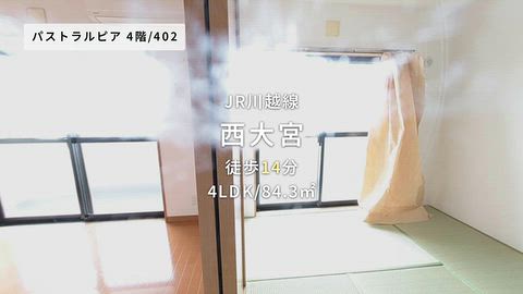 動画