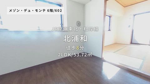動画