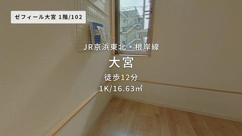 動画