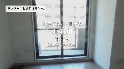 動画