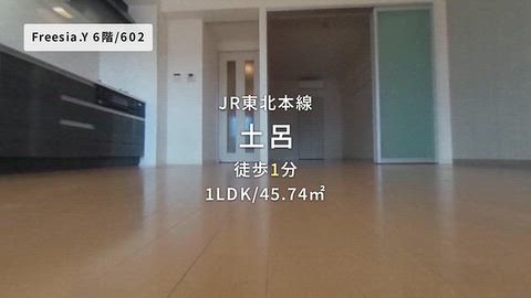 動画