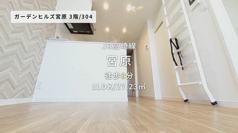 動画