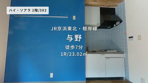 動画