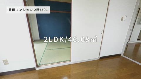 動画
