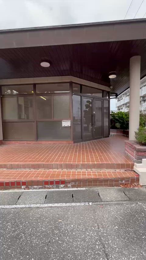 動画