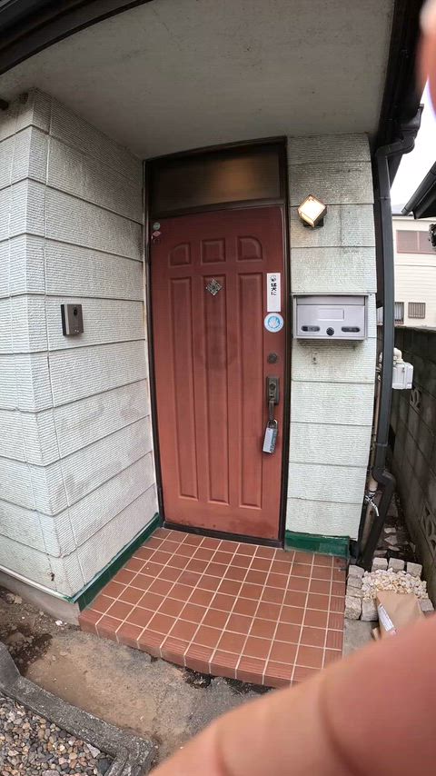 動画