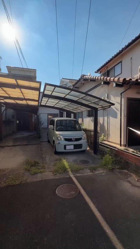 動画