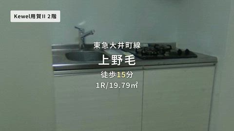 動画