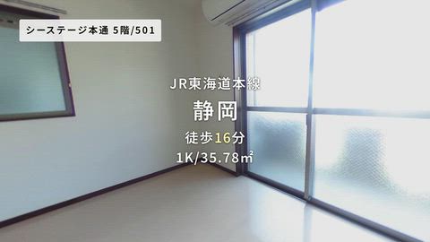 動画