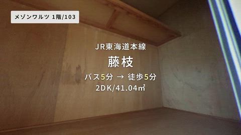 動画