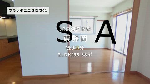 動画