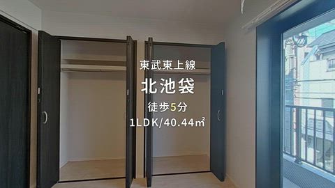 動画