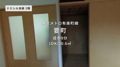 動画