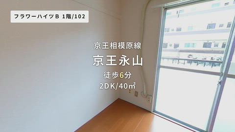 紹介ムービー