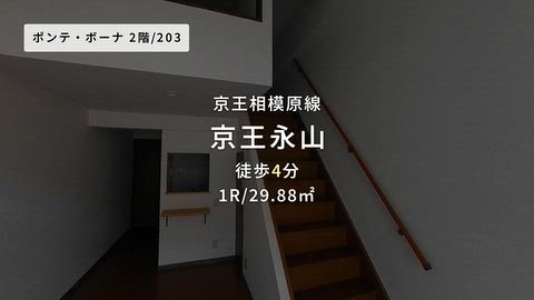 動画