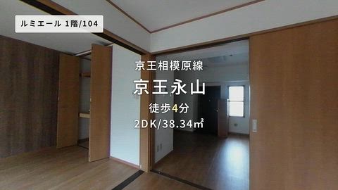 動画