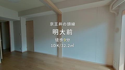 動画
