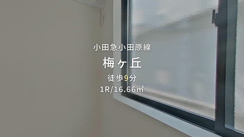 紹介ムービー