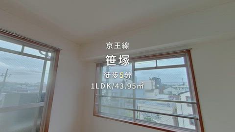 動画