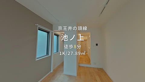 動画