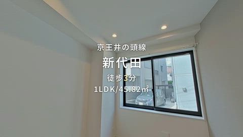 動画