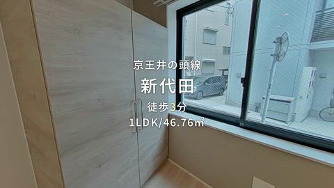 動画