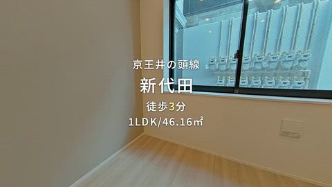 動画