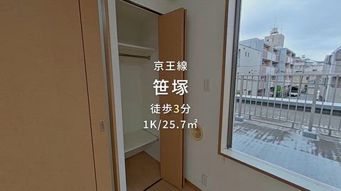 動画