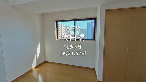 動画