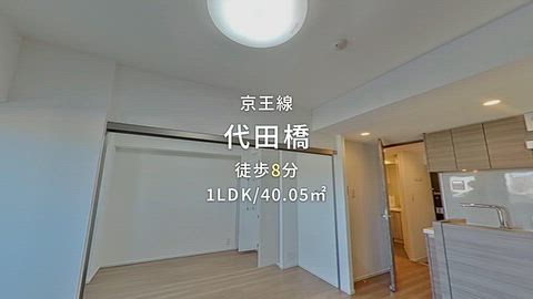 動画