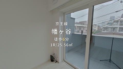 動画