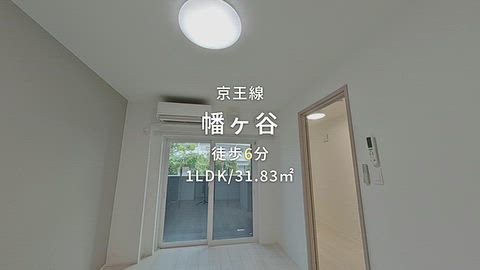 動画