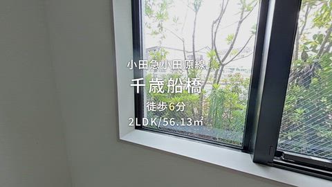 紹介ムービー