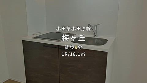紹介ムービー
