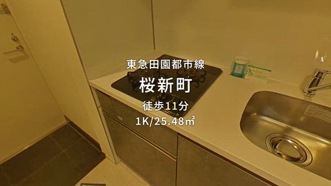 動画