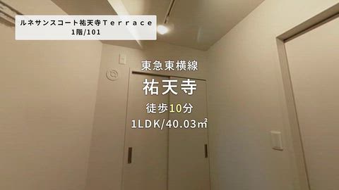動画