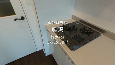 動画