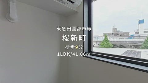 動画