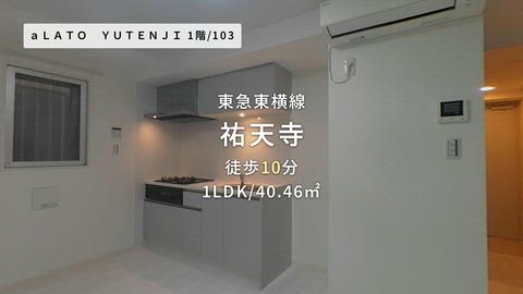 動画