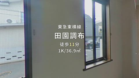 動画