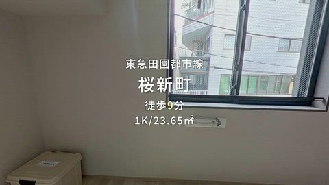 紹介ムービー