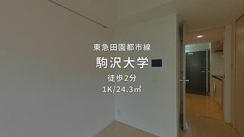 動画