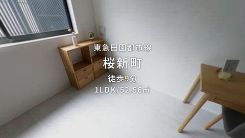 動画