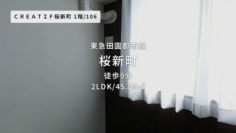 動画