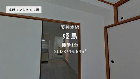 動画
