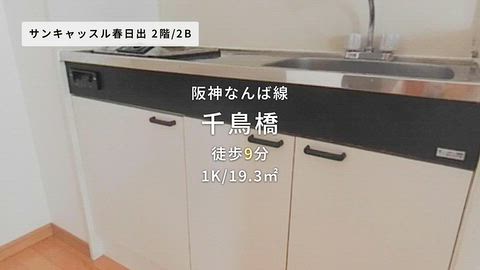 動画