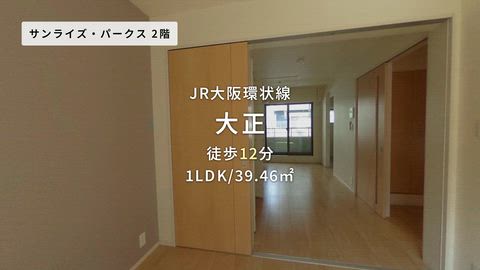動画